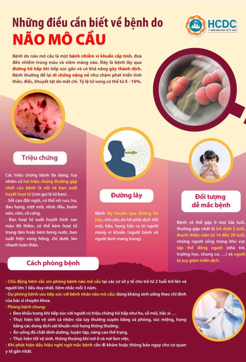 Những điều cần biết về bệnh do não mô cầu. Infographic: HCDC