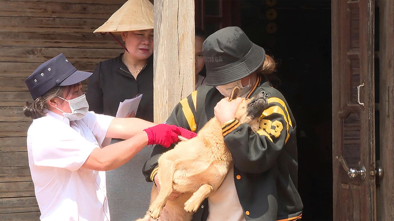 Chủ động tiêm phòng dại cho vật nuôi là bước đầu tiên để ngăn chặn những hậu quả đáng tiếc do bệnh dại gây ra.