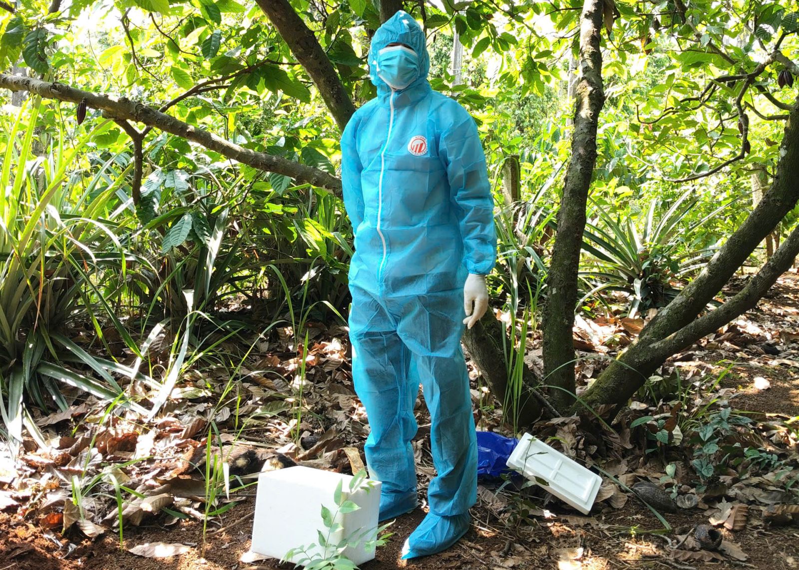 Ngành y tế và thú y tiến hành lấy mẫu từ con chó nghi mắc bệnh dại để xét nghiệm.