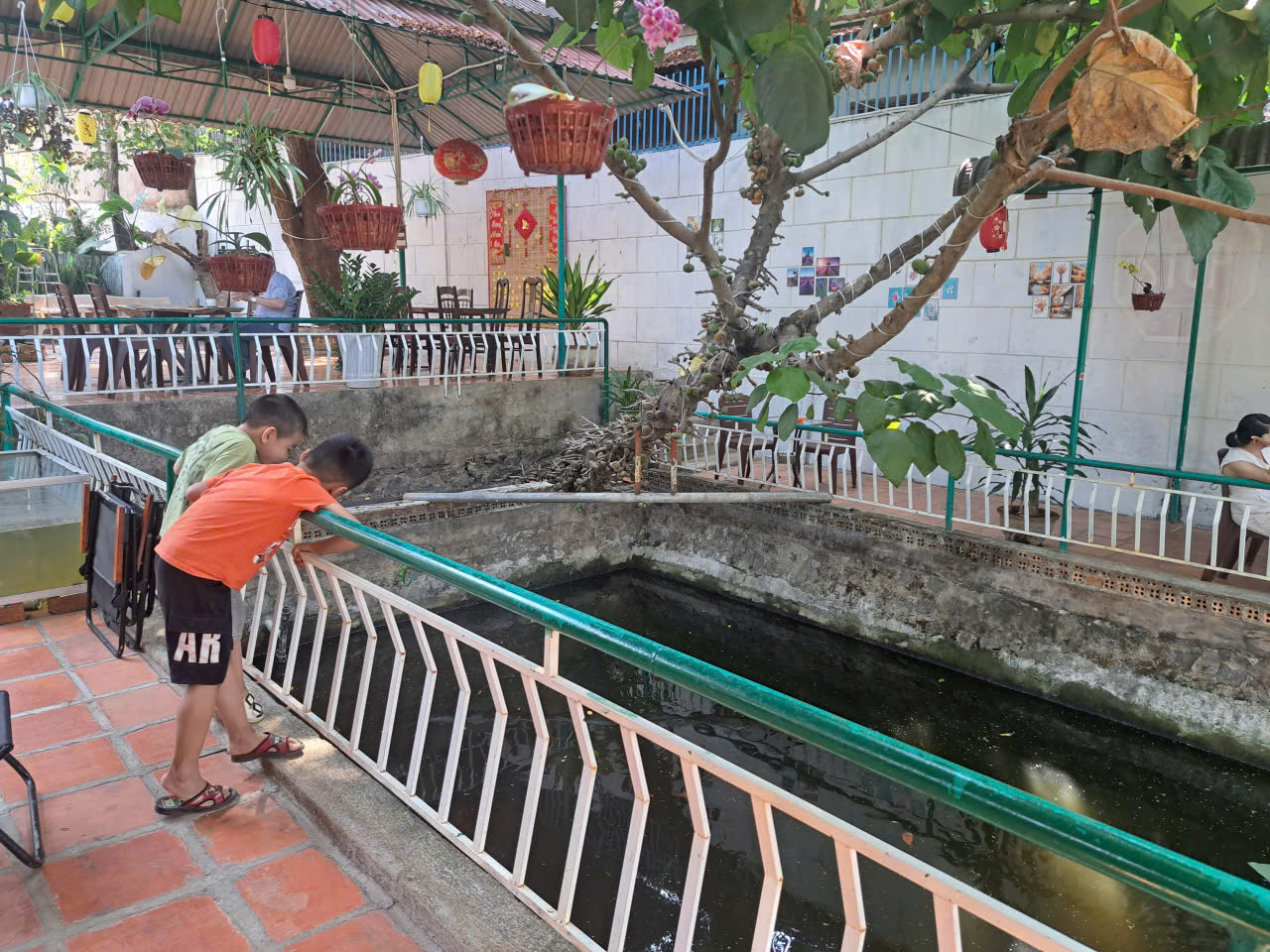 che chắn các vị trí nguy hiểm, có hàng rào ở ao, hồ...