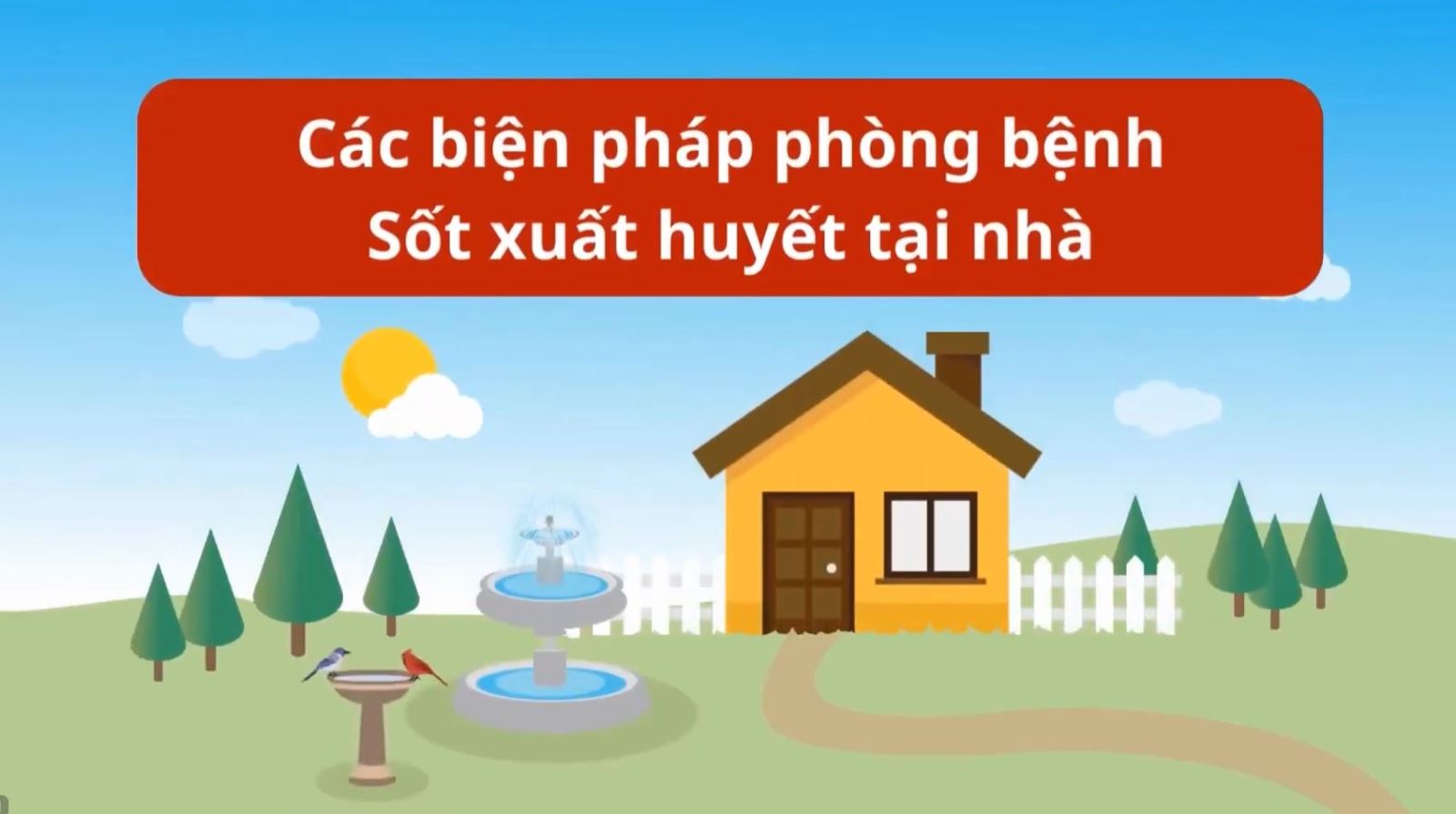 Ảnh đại diện video