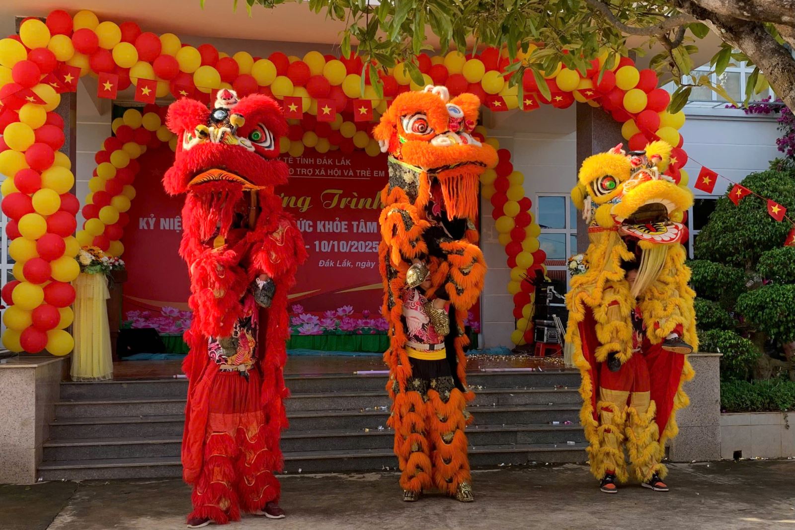 Hình ảnh 1